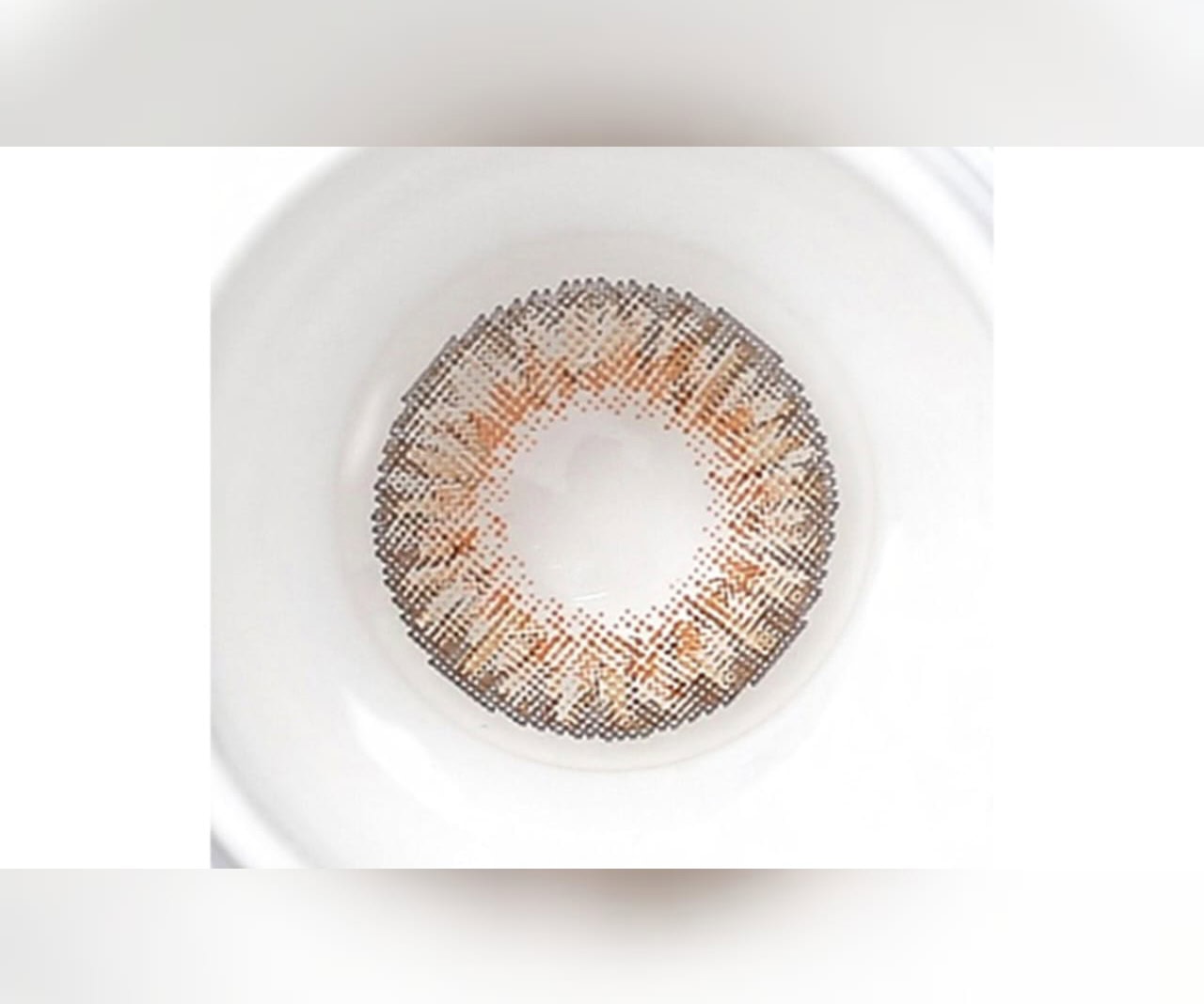 لنز عسلی تیره Honey - Image 2